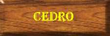 Cedro